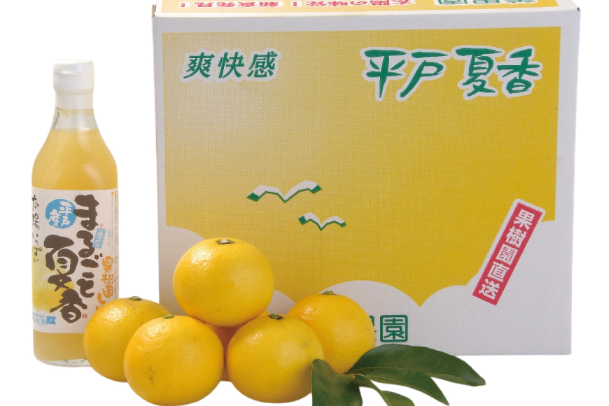 果物 オレンジ 平戸 夏香 & ジュース セット  [善果園 長崎県 平戸市 hr42bgy420206] みかん ミカン くだもの 柑橘 フルーツ 加工品