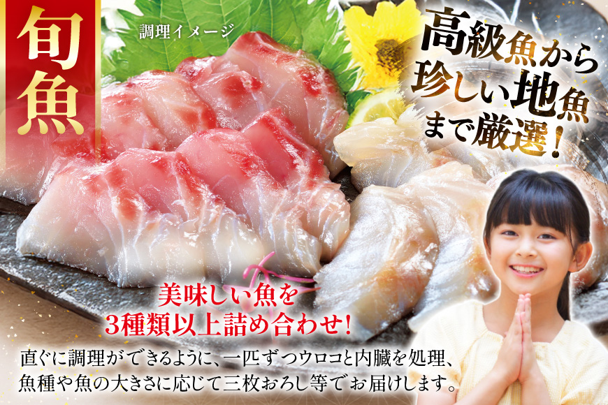 魚 海鮮 地魚 詰合せ4〜5種類 3回 定期便 [ひらど新鮮市場 長崎県 平戸市 hr42bgy400190] さかな 詰め合わせ 鮮魚