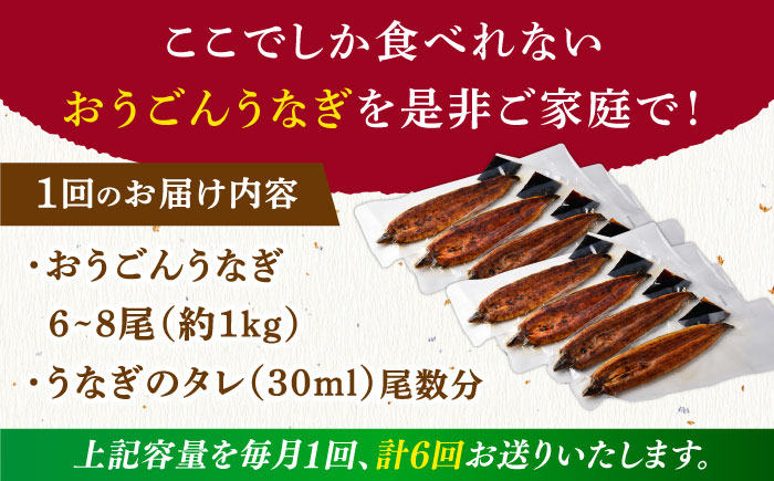 【全6回定期便】【着日指定 可能】【日本初！海水で養殖】長崎県産おうごん うなぎ 松セット 約1kg（6尾〜8尾） 平戸市 / 松永水産 うなぎ 鰻 ウナギ 土用丑の日 九州産 蒲焼 かばやき [KAB286]