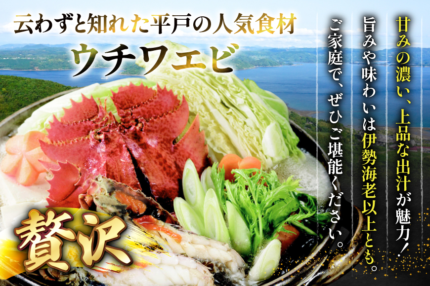 鍋セット 海鮮 平戸ウチワエビ鍋セット 安心の地元 野菜付 2〜3人前 [ひらど新鮮市場 長崎県 平戸市 hr42bgy400154] 詰め合わせ エビ 海鮮 鍋 海鮮セット 海鮮グルメ 海鮮鍋 ウチワエビ