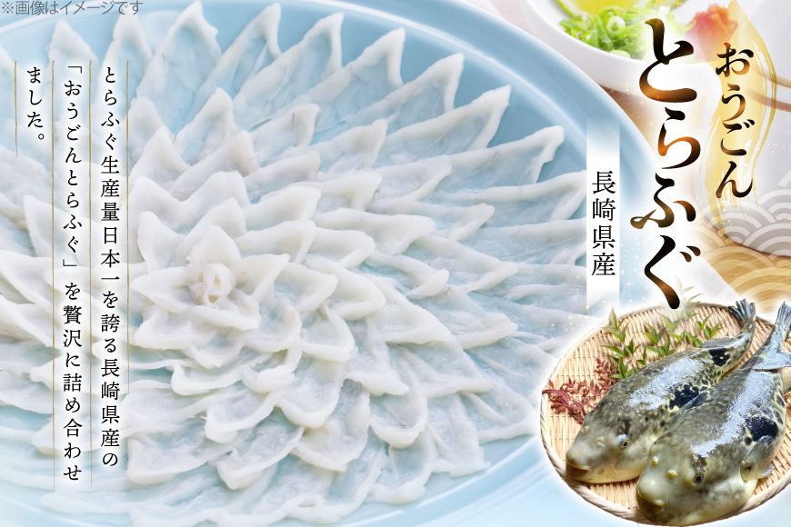 ふぐ 刺身 ふぐ鍋セット 活〆 おうごんとらふぐ プレミアム セット 4人前 [松永水産 長崎県 平戸市 hr42bgy400145] ふぐ刺し とらふぐ フグ 河豚 てっさ てっちり ふぐ鍋 湯引き 魚介 さかな お刺身 刺身用 さしみ 冷凍 海鮮