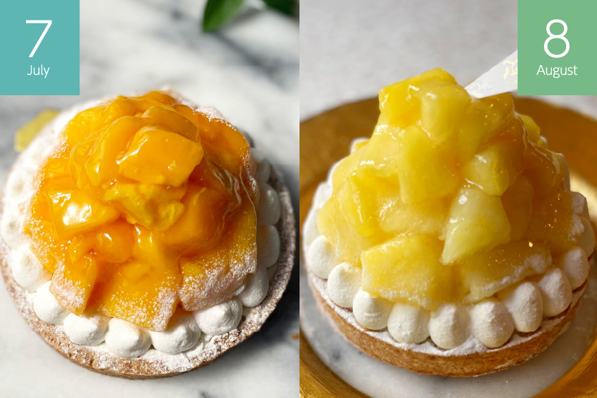 ケーキ タルト 1ホール 12cm 12種 食べ比べ 各回1ホール 6回 定期便 総計6ホール [心優-Cotoyu sweets- 長崎県 平戸市 hr42bjo490221] スイーツ フルーツ いちご 桃 マンゴー ベリー チェリー 夏香 パイナップル オレンジ モンブラン ティラミス チョコ ホールケーキ