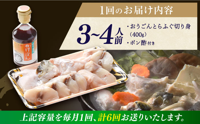 【全6回定期便】【着日指定 可能】活〆おうごんとらふぐ 鍋 セット 約400g 平戸市 / 松永水産 [KAB271]