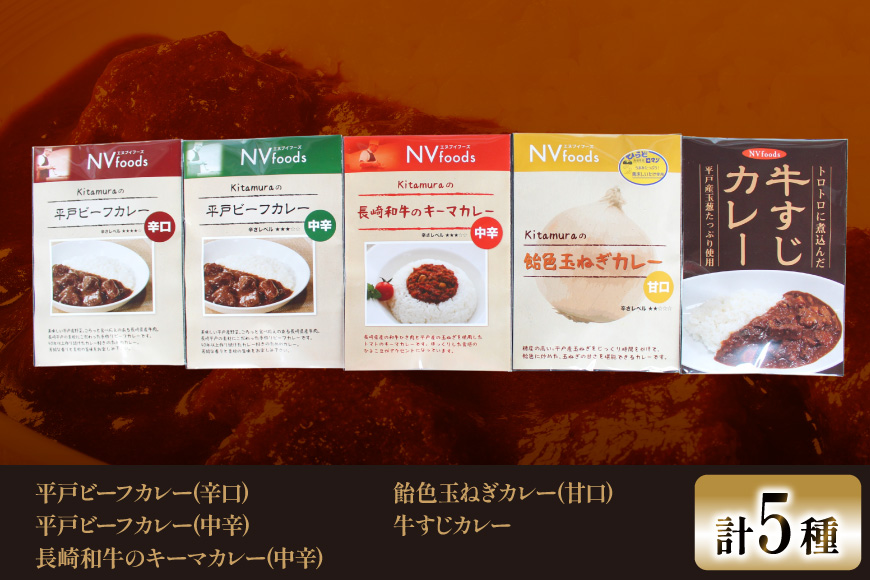 カレー セット カレー 5種 セット 3回 定期便 [カレー工房NVfoods 長崎県 平戸市 hr42bgy400098] カレー スパイス レトルト セット 詰め合わせ 食べ比べ