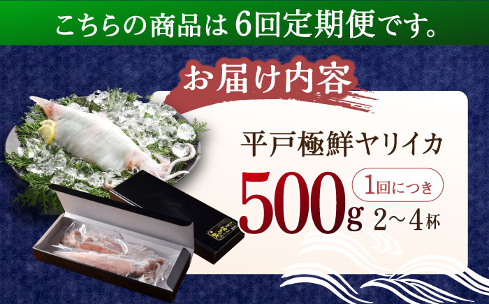 【6回定期便】極鮮ヤリイカ 約500g【海隆丸】[KAB179]/ 長崎 平戸 魚介類 イカ いか ヤリイカ 真空パック 小分け 贈物 贈答 プレゼント 定期便