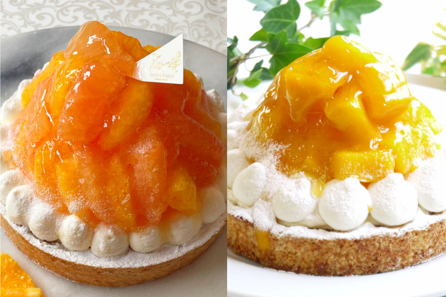 タルト フルーツタルト 定期便 6回 総計6ホール (全6種) [心優-Cotoyu Sweets- 長崎県 平戸市 hr42bjo490215] スイーツ フルーツ 果物 桃 ブルーベリー ケーキ たっぷり チーズケーキ ご褒美 誕生日