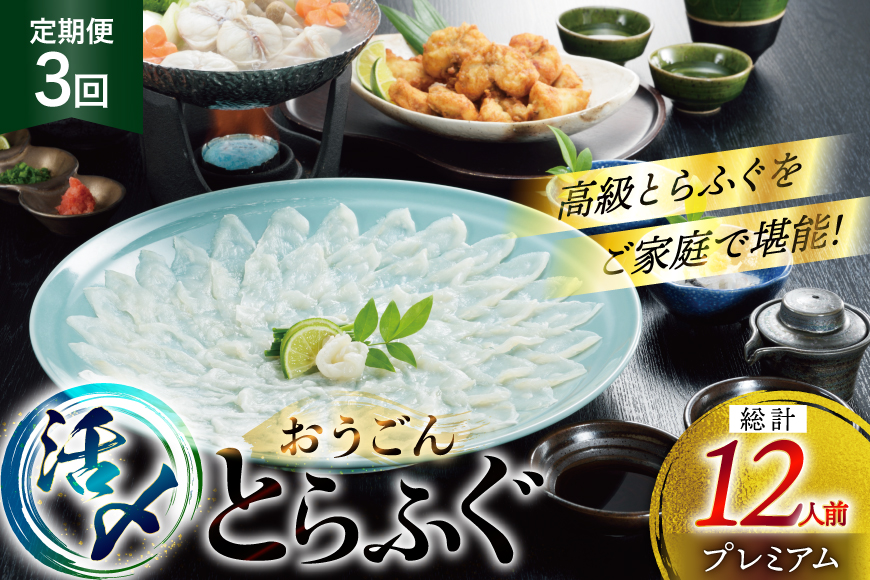 ふぐ 刺身 ふぐ鍋セット 活〆 おうごんとらふぐ プレミアム セット 4人前 3回 定期便 [松永水産 長崎県 平戸市 hr42bgy400150] ふぐ刺し とらふぐ フグ 河豚 てっさ てっちり ふぐ鍋 湯引き 魚介 さかな お刺身 刺身用 さしみ 冷凍 海鮮