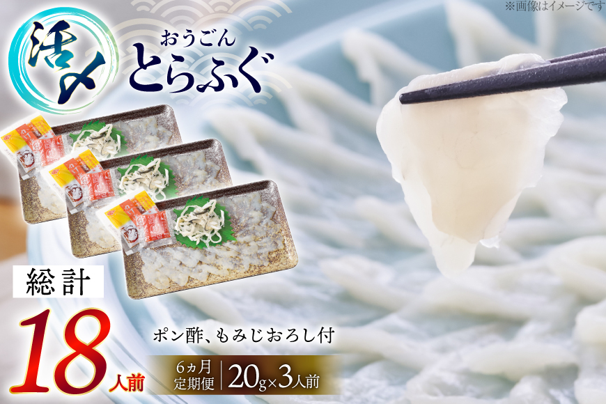 ふぐ 刺身 セット 活〆 おうごんとらふぐ 刺身セット 3人前 6回 定期便 [松永水産 長崎県 平戸市 hr42bgy400162] ふぐ刺し とらふぐ フグ 河豚 てっさ 魚介 さかな お刺身 刺身用 さしみ 冷凍 湯引き 海鮮 切り身