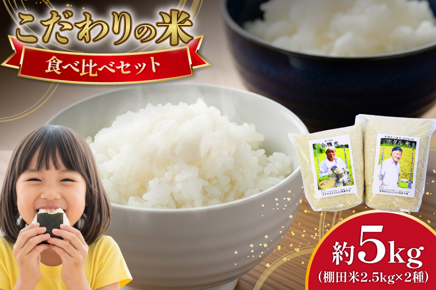 米 令和7年産 棚田米 2.5kg 2袋 総計 5kg [ひらど新鮮市場 長崎県 平戸市 hr42bgy400012] コメ こめ お米 ごはん 白米 精米 国産 5キロ 小分け こしひかり ひのひかり ゆめつくし にこまる なつほのか