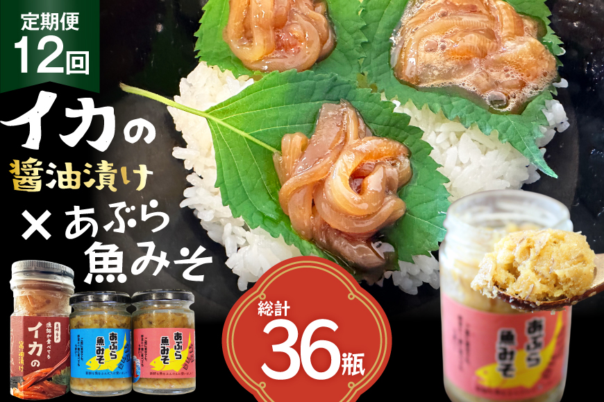 ご飯のお供 あぶらみそ イカ 醤油漬け あぶらみそ 地魚・真鯛  イカの醤油漬け プレーン 3種セット 12回 定期便 総計36本 [康貴丸水産 長崎県 平戸市 hr42bgy400210] お取り寄せ おにぎり おかず 具材 油味噌 魚 さかな 塩辛