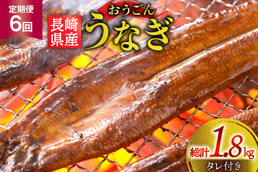 うなぎ 国産 蒲焼 長崎県産 おうごんうなぎ 約300g 2尾〜3尾 6回 定期便 総計 約1.8kg [松永水産 長崎県 平戸市 hr42bgy400023] 鰻 うな重 うな丼 ひつまぶし 蒲焼き かばやき タレ付き 養殖 国内産 冷凍 unagi