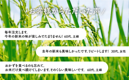 平戸産潮風新米5kg早場米・天日干し【株式会社ひらど新鮮市場】[KAB119]