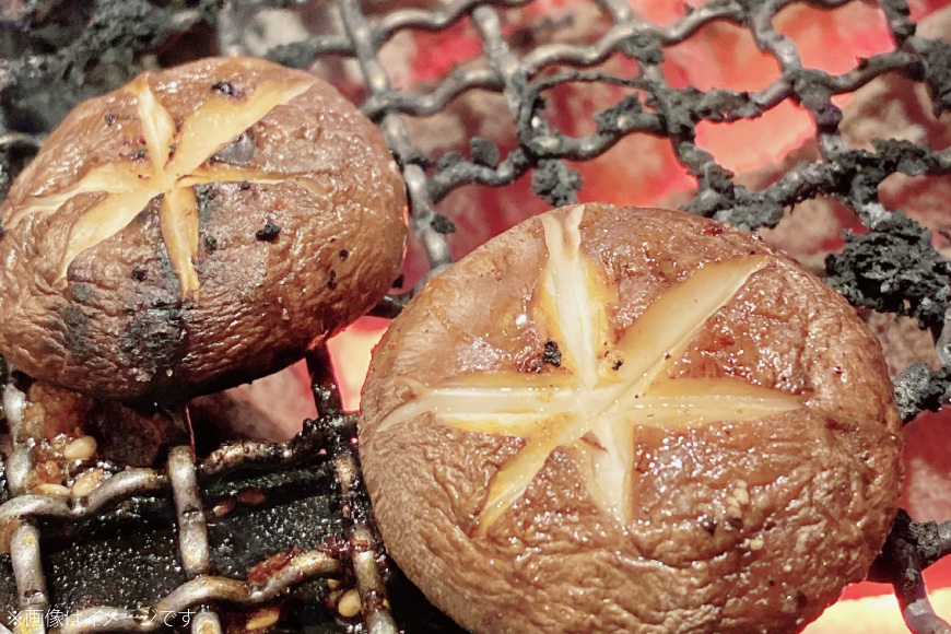 きのこ しいたけ きくらげ 椎茸菌床 生椎茸 生きくらげ セット [きのこ屋 長崎県 平戸市 hr42bgy410092] 有機 有機JAS 有機栽培 有機きのこ 有機しいたけ 栽培キット 栽培セット ギフト セット