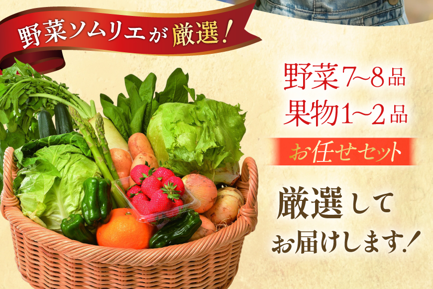 野菜 果物 セット 安心の地元野菜と果物のお任せセット 定期便 12回 [ひらど新鮮市場 長崎県 平戸市 hr42bgy400146] フルーツ 定期 12ヶ月 野菜セット 果物セット キャベツ、アスパラガス 胡瓜 ナス 大根 かぶ ミニトマト 玉ねぎ いちご メロン ミニトマト 白菜 れんこん みかん