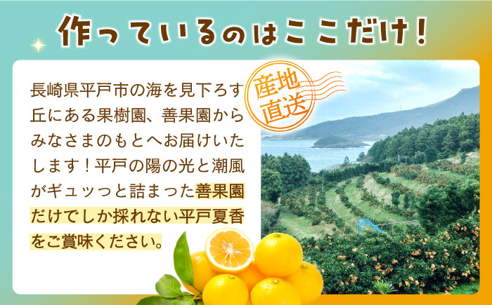 【全3回定期便】【自家栽培の柑橘のみを使用】みかん ジュース 3本 セット【善果園】 [KAA524]