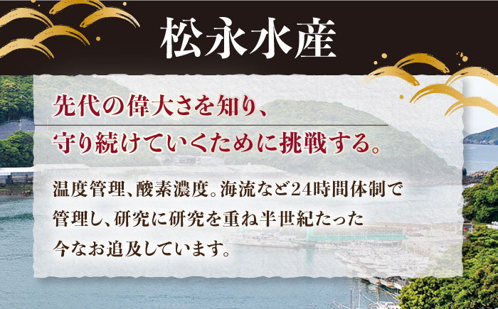 【全3回定期便】【着日指定 可能】活〆おうごんとらふぐ プレミアムセット（4人前）平戸市 / 松永水産 [KAB273]