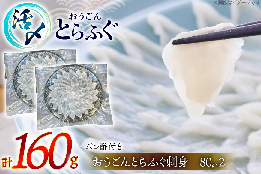 ふぐ 刺身 おうごんとらふぐ 大皿 刺身 80g×2 合計 160g [松永水産 長崎県 平戸市 hr42bgy400080] ふぐ刺し とらふぐ フグ 河豚 てっさ 魚介 さかな お刺身 刺身用 さしみ 冷凍 海鮮 高級魚