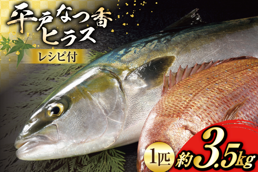 刺身 ヒラマサ 平戸なつ香 ヒラス 丸々 1匹 約3.5kg [（株）坂野水産 長崎県 平戸市 hr42bgy420492] 魚介 さかな お刺身 刺身用 さしみ 冷蔵 下処理済 レシピ付き おかず フルーツ魚 夏香 鮮魚 海鮮 鍋 海鮮丼 生食 生食用