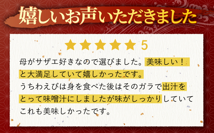 平戸瀬戸物語【平戸さくら水産】[KAA155]/ 長崎 平戸 魚介類 海老 えび エビ ウチワエビ サザエ ヒオウギ 貝 カキ 牡蠣 