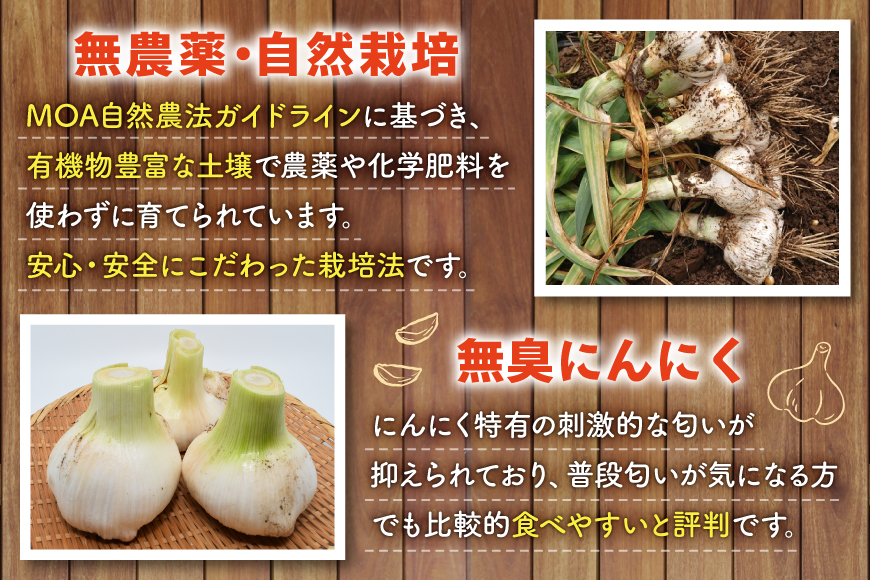 野菜 にんにく ジャンボにんにく 約2kg 【期間限定発送】 [しげさん農園 長崎県 平戸市 hr42bgy420076] ガーリック ニンニク ホクホク 大きい ビッグ ジャンボ 料理 揚げ物 グリル 味付け 香り