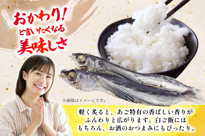 魚 飛魚 塩あご 140g 2パック [森崎水産 長崎県 平戸市 hr42bgy410179] 平戸 お酒のお供 干物 おつまみ