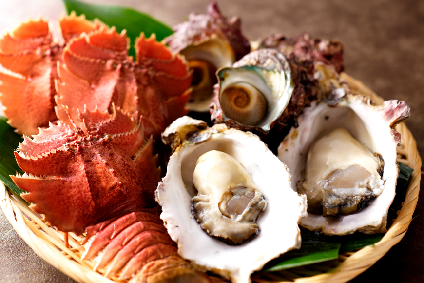 海鮮 貝類 平戸 瀬戸物語 海鮮 3種 セット 3回 定期便 [平戸さくら水産 長崎県 平戸市 hr42bgy420324] うちわえび ヒオウギ 貝 サザエ 