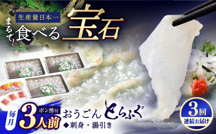 【全3回定期便】【着日指定 可能】活〆おうごんとらふぐ 刺身 セット（3人前） 平戸市 / 松永水産 [KAB276]