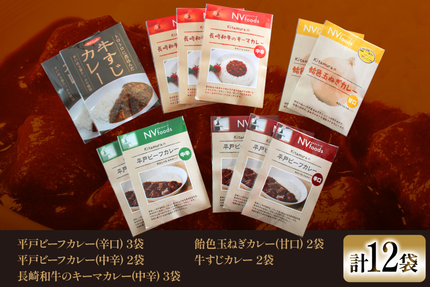 カレー セット カレー 5種 計12袋 セット 6回 定期便 [カレー工房NVfoods 長崎県 平戸市 hr42bgy400058] カレー スパイス レトルト セット 詰め合わせ 食べ比べ
