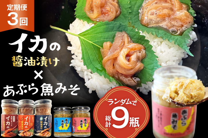 ご飯のお供 あぶらみそ イカ 醤油漬け 3本 ランダムでお届け 3回 定期便 総計9本 [康貴丸水産 長崎県 平戸市 hr42bgy400204] お取り寄せ おにぎり おかず 具材 油味噌 魚 さかな 塩辛