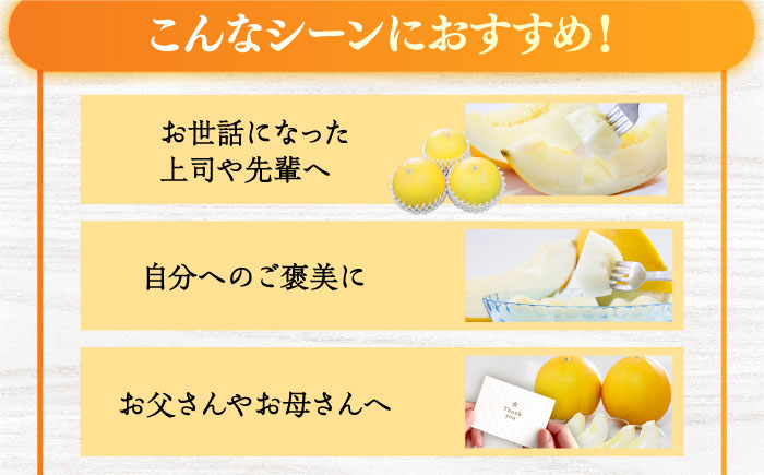 【先行予約】最高糖度15度で甘味たっぷり平戸産メロンイエローキング合計5kg前後3〜9玉【株式会社ひらど新鮮市場】[KAB200]