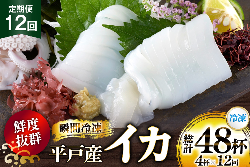 海鮮 魚介 イカ 4杯 1パック（冷凍） 12回 定期便 [舘浦漁業 長崎県 平戸市 hr42bgy420351] おつまみ 新鮮 刺身 瞬間冷凍 冷凍 コリコリ 直送 冷凍 個包装 真空パック