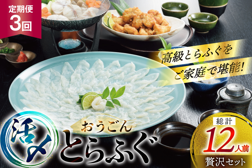 ふぐ 刺身 ふぐ鍋セット 活〆 おうごんとらふぐ 贅沢セット 4人前 3回 定期便 [松永水産 長崎県 平戸市 hr42bgy400074] ふぐ刺し とらふぐ フグ 河豚 てっさ てっちり ふぐ鍋 湯引き 魚介 さかな お刺身 刺身用 さしみ 冷凍 海鮮