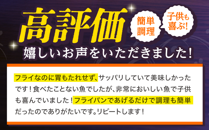 マトウダイ フライ 約500g(250g×2)【ひばり】[KAA063]/ 長崎 平戸 惣菜 魚介類 魚 高級 馬頭鯛 白身魚 フライ 小分け