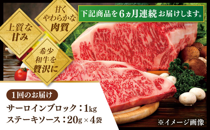 【全6回定期便】幻の和牛 特選平戸和牛サーロインブロック1kg【萩原食肉産業】 [KAD190]