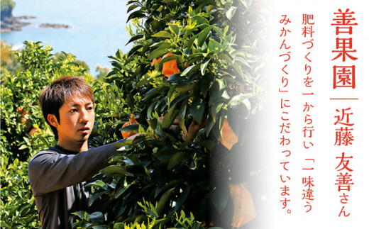 海の見える果樹園からの贈り物 2種【善果園】[KAA127]/ 長崎 平戸 飲料 ジュース 柑橘 酢 