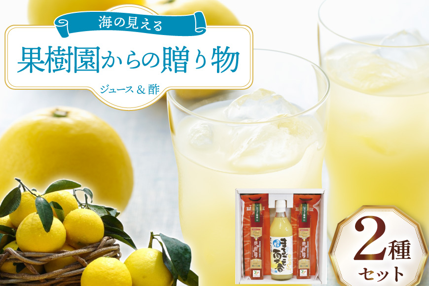 果物 オレンジ 果樹園からの贈り物 2種 セット [善果園 長崎県 平戸市 hr42bgy420172] みかん ジュース 夏香 美柑酢