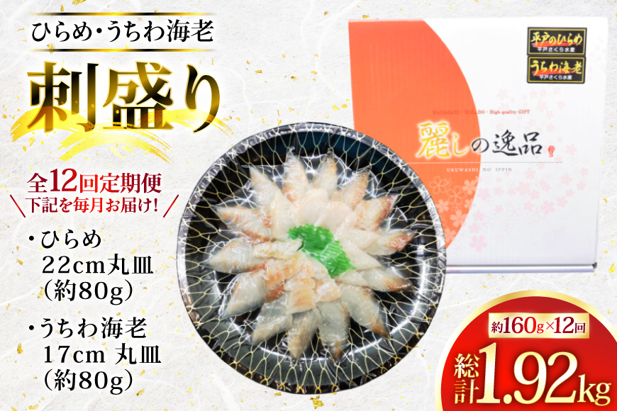 ヒラメ ウチワエビ 刺身 盛り合わせ ひらめ うちわ海老 刺盛セット 約160g×12回 計1920g 【全12回定期便】 [平戸さくら水産 長崎県 平戸市 hr42bgy420147] 魚介 さかな 魚 刺身 さしみ 海鮮
