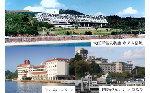 宿泊 クーポン 平戸 宿泊施設 で使える 割引券 6,000円分 [平戸観光交流センター 長崎県 平戸市 hr42bgy390024] 九州 国内旅行 ホテル 旅館 旅行 旅 6千円 分