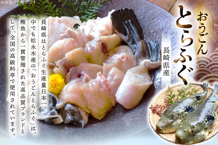 ふぐ 鍋 セット 活〆 おうごんとらふぐ 鍋セット 約400g [松永水産 長崎県 平戸市 hr42bgy400155] とらふぐ フグ 河豚 てっちり ふぐちり ふぐ料理 魚介 さかな 切り身 冷凍 海鮮 ふぐ鍋 唐揚げ ポン酢