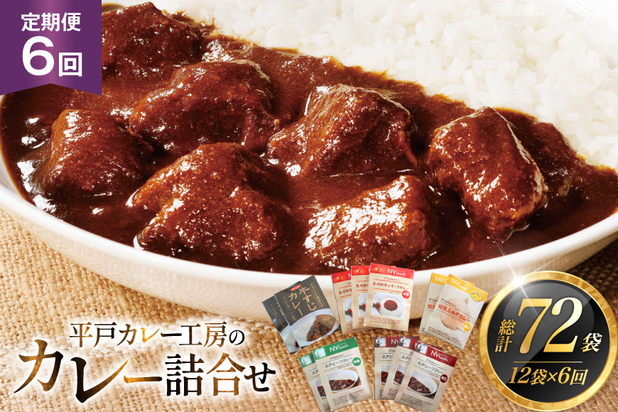 カレー セット カレー 5種 計12袋 セット 6回 定期便 [カレー工房NVfoods 長崎県 平戸市 hr42bgy400058] カレー スパイス レトルト セット 詰め合わせ 食べ比べ