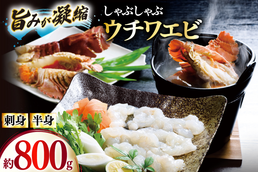 うちわえび エビ 海老 刺身 しゃぶしゃぶ 海鮮 ウチワエビ刺身 約400g・ウチワエビ半身 約400g セット 総計800g [ひばり 長崎県 平戸市 hr42bgy420044] 鍋 魚介 海産物 刺し身 冷凍 新鮮 国産 お取り寄せ