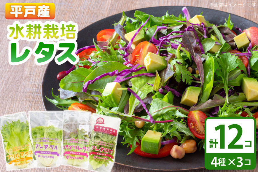レタス 水耕栽培 4種 12袋 セット 食べ比べ 詰め合わせ  [モロフジファーム 長崎県 平戸市 hr42bgy420323] サラダ 産地直送 個包装 小分け 野菜 フレッシュ 健康志向 緑黄色野菜