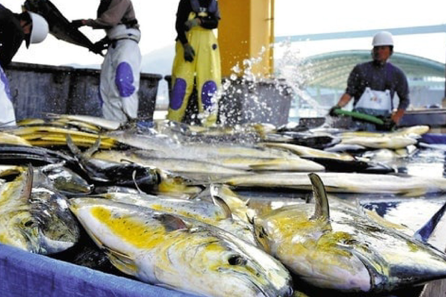 かまぼこ 詰め合わせ 生月の特選 蒲鉾 7種 セット [舘浦漁業 長崎県 平戸市 hr42bgy420225] すり身 練り物 カマボコ 魚介 揚げかまぼこ 揚げ