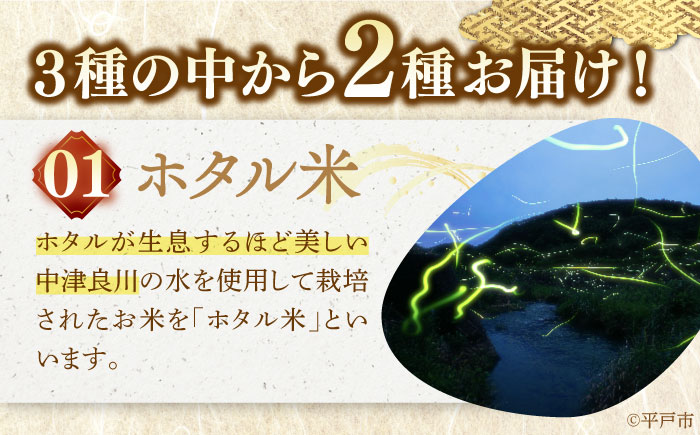 【全3回定期便】【着日指定 可能】【違いを楽しむ】こだわりの米食べ比べセット 約5kg（2.5kg×2種） 平戸市 / ひらど新鮮市場 [KAB240]