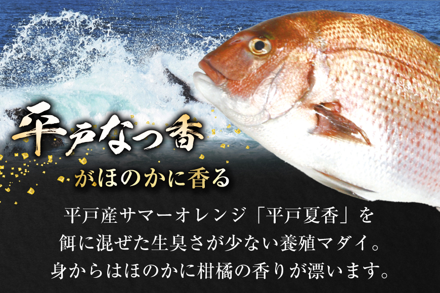 タイ 刺身 平戸なつ香 鯛 丸々 1匹 約2kg 3枚おろし アラ付き セット [坂野水産 長崎県 平戸市 hr42bgy420504] 魚介 さかな 刺身用 さしみ 冷蔵 おかず フルーツ魚 夏香 鮮魚 海鮮 海鮮鍋 海鮮丼 下処理済 レシピ付き 鍋 tai 煮付け あら炊き