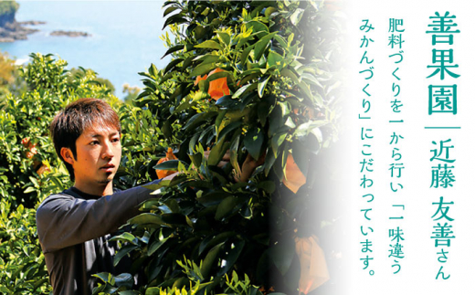 みかんジュース3本セット【善果園】[KAA359]/ 長崎 平戸 飲料 ジュース 柑橘 夏香 