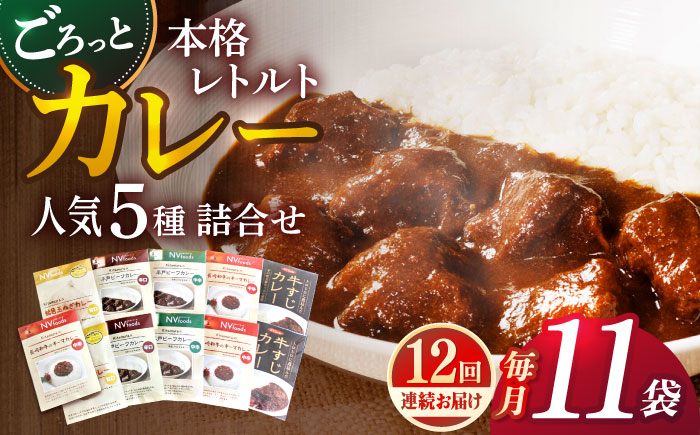 【全12回定期便】【カレー好きのためのアソートセット】カレー工房NVfoodsのカレー5種（11袋）詰め合わせセット [KAB290]