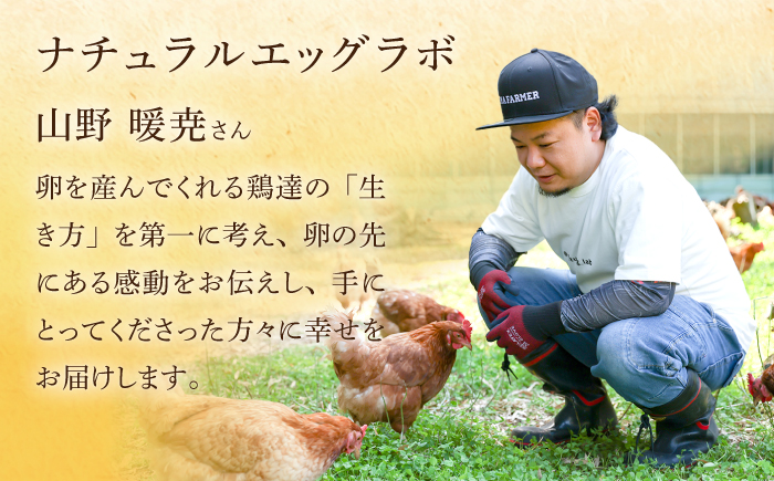 【6回定期便】平戸 平飼い放牧 卵 itadaki 144個(24個×6回)【ナチュラルエッグラボ】[KAA256]/ 長崎 平戸 卵 純国産 鶏 平飼い もみじ