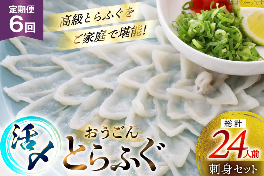 ふぐ 刺身 セット 活〆 おうごんとらふぐ 刺身セット 4人前 6回 定期便 [松永水産 長崎県 平戸市 hr42bgy400165] ふぐ刺し とらふぐ フグ 河豚 てっさ 魚介 さかな お刺身 刺身用 さしみ 冷凍 湯引き 海鮮 切り身