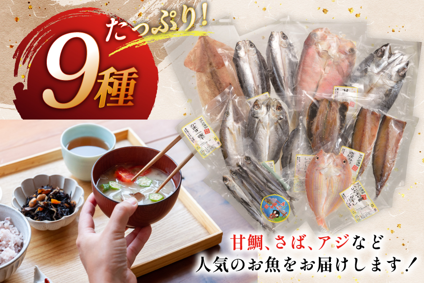 魚 惣菜 平戸 干物 詰め合わせ 9種 [森崎水産 長崎県 平戸市 hr42bgy410125] さかな 加工品 ひもの つめあわせ 豪華 旬魚 お惣菜
